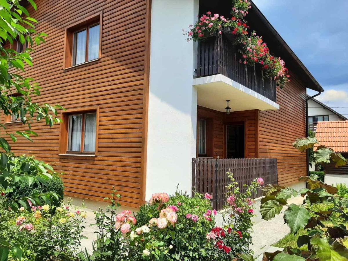 Aleksandar Apartmani Pale Exterior foto